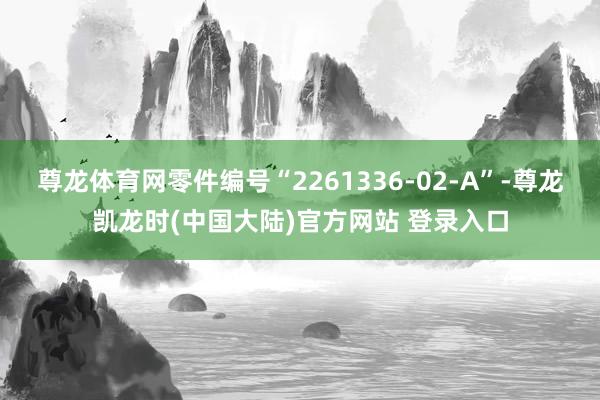 尊龙体育网零件编号“2261336-02-A”-尊龙凯龙时(中国大陆)官方网站 登录入口