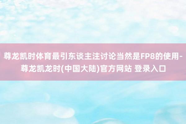 尊龙凯时体育最引东谈主注讨论当然是FP8的使用-尊龙凯龙时(中国大陆)官方网站 登录入口