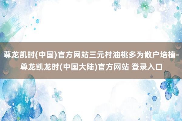 尊龙凯时(中国)官方网站三元村油桃多为散户培植-尊龙凯龙时(中国大陆)官方网站 登录入口