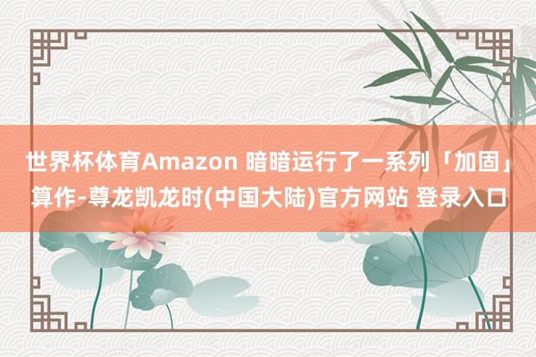 世界杯体育Amazon 暗暗运行了一系列「加固」算作-尊龙凯龙时(中国大陆)官方网站 登录入口